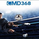 Memilih Provider Sportsbook CMD 368